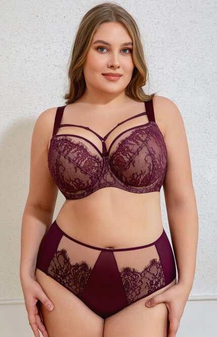 Misscurvaty Plus Size Lace Underwire Detachable Chest Strap Full Coverage Sheer Bra for Women