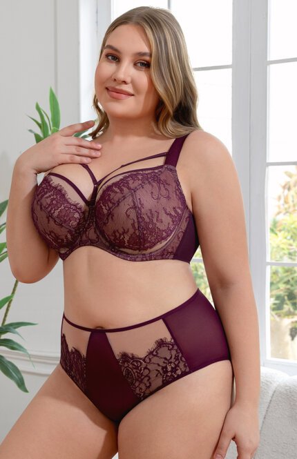 Misscurvaty Plus Size Lace Underwire Detachable Chest Strap Full Coverage Sheer Bra for Women - Image 2