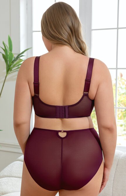 Misscurvaty Plus Size Lace Underwire Detachable Chest Strap Full Coverage Sheer Bra for Women - Image 3